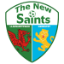 The New Saints FC